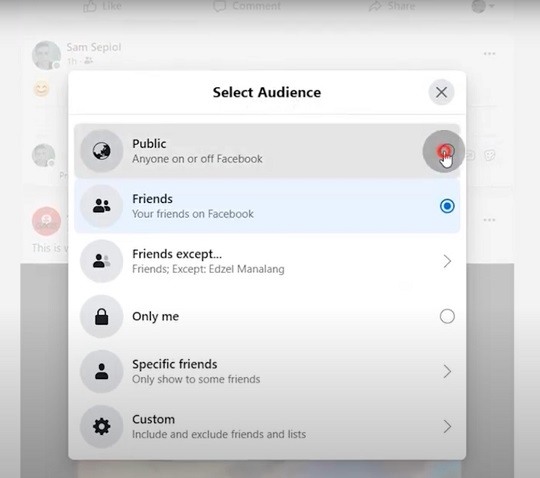 select facebook audience